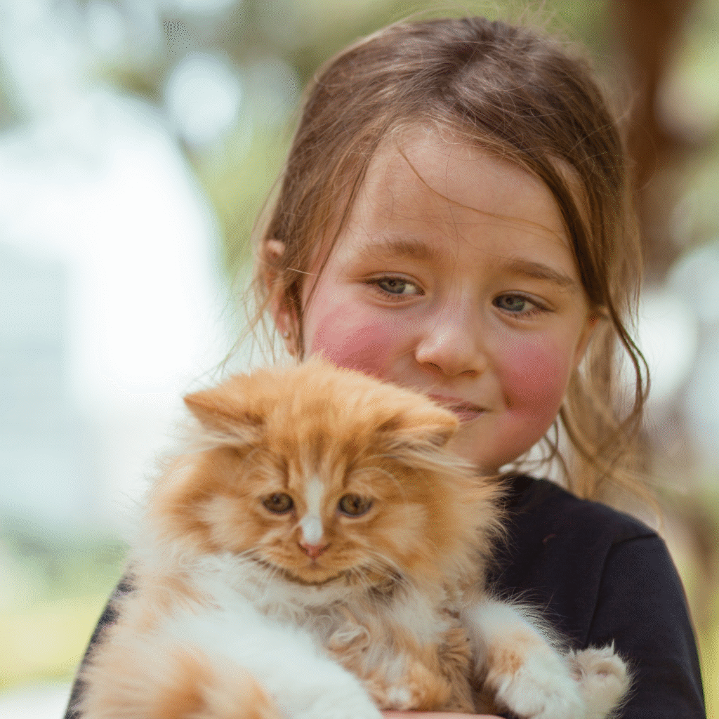 diseño sin título (33)